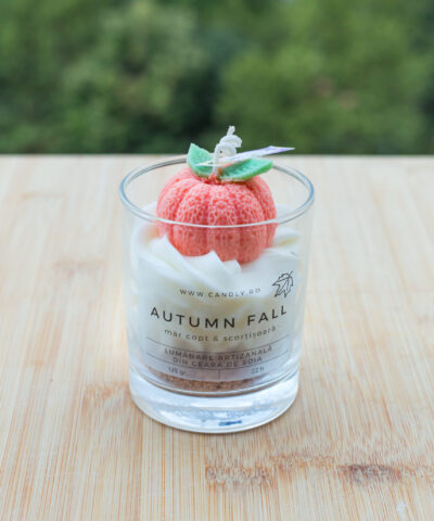 candly lumanare handmade din ceara forma devleac